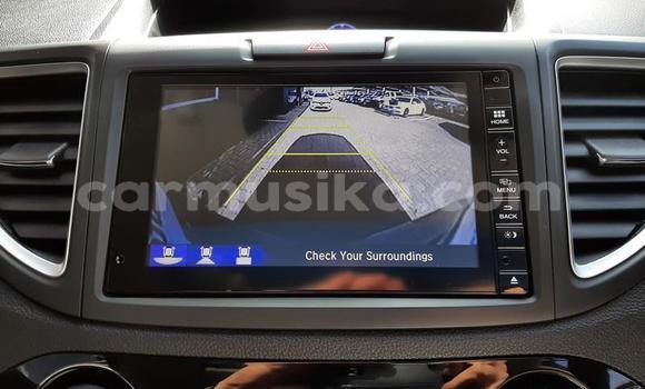 Nunua Ilio tumika Honda CR–V Beige Gari ndani ya Beitbridge nchini Matabeleland Kusini Nunua Ilio tumika Honda CR–V Beige Gari ndani ya Beitbridge nchini Matabeleland Kusini