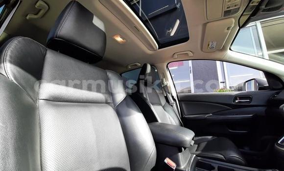 Nunua Ilio tumika Honda CR–V Beige Gari ndani ya Beitbridge nchini Matabeleland Kusini Nunua Ilio tumika Honda CR–V Beige Gari ndani ya Beitbridge nchini Matabeleland Kusini