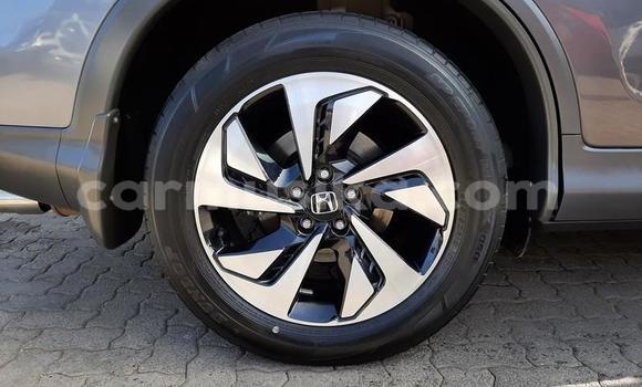 Nunua Ilio tumika Honda CR–V Beige Gari ndani ya Beitbridge nchini Matabeleland Kusini Nunua Ilio tumika Honda CR–V Beige Gari ndani ya Beitbridge nchini Matabeleland Kusini