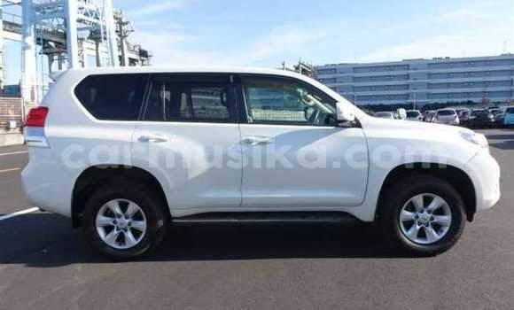 Acheter Occasion Voiture Toyota Land Cruiser Prado Blanc à Beitbridge, Matabeleland South Acheter Occasion Voiture Toyota Land Cruiser Prado Blanc à Beitbridge, Matabeleland South