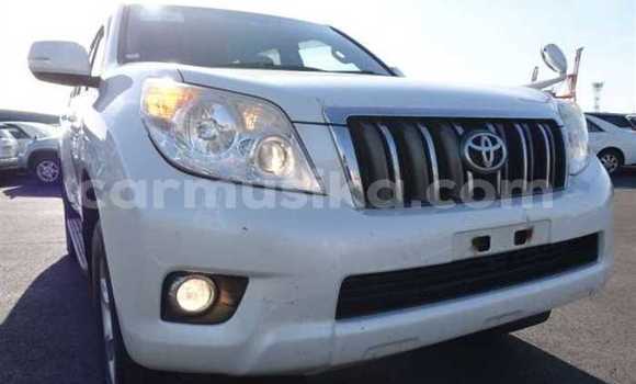 Acheter Occasion Voiture Toyota Land Cruiser Prado Blanc à Beitbridge, Matabeleland South Acheter Occasion Voiture Toyota Land Cruiser Prado Blanc à Beitbridge, Matabeleland South