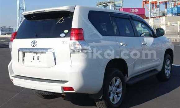 Acheter Occasion Voiture Toyota Land Cruiser Prado Blanc à Beitbridge, Matabeleland South Acheter Occasion Voiture Toyota Land Cruiser Prado Blanc à Beitbridge, Matabeleland South