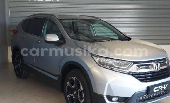 Buy Used Honda CR–V Silver Car in Beitbridge in Matabeleland South