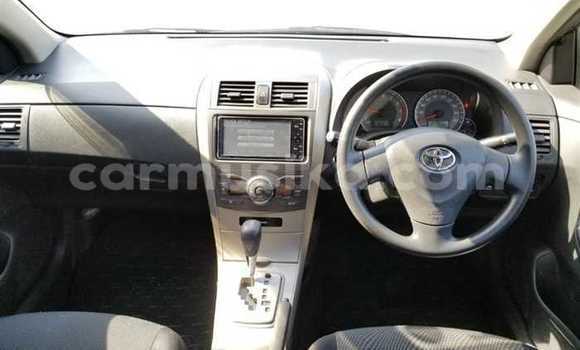 Nunua Ilio tumika Toyota Corolla Beige Gari ndani ya Beitbridge nchini Matabeleland Kusini Nunua Ilio tumika Toyota Corolla Beige Gari ndani ya Beitbridge nchini Matabeleland Kusini