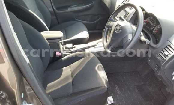 Nunua Ilio tumika Toyota Corolla Beige Gari ndani ya Beitbridge nchini Matabeleland Kusini Nunua Ilio tumika Toyota Corolla Beige Gari ndani ya Beitbridge nchini Matabeleland Kusini