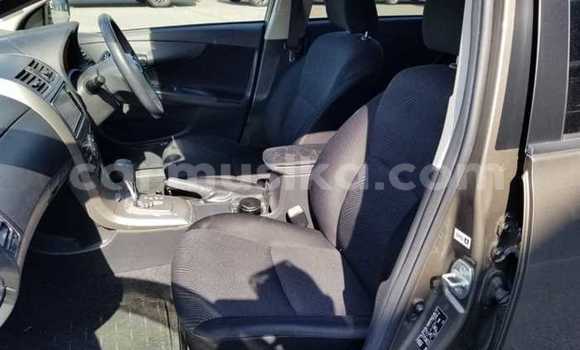 Nunua Ilio tumika Toyota Corolla Beige Gari ndani ya Beitbridge nchini Matabeleland Kusini Nunua Ilio tumika Toyota Corolla Beige Gari ndani ya Beitbridge nchini Matabeleland Kusini