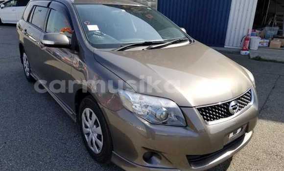 Nunua Ilio tumika Toyota Corolla Beige Gari ndani ya Beitbridge nchini Matabeleland Kusini Nunua Ilio tumika Toyota Corolla Beige Gari ndani ya Beitbridge nchini Matabeleland Kusini