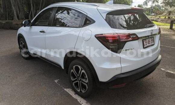 Tenga Tsaru Honda CR–V Chena Mota in Beitbridge in Matabeleland South Tenga Tsaru Honda CR–V Chena Mota in Beitbridge in Matabeleland South