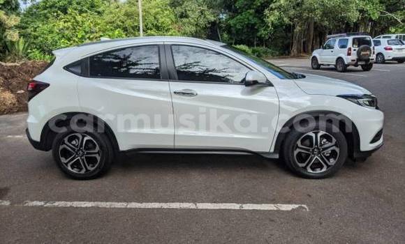 Tenga Tsaru Honda CR–V Chena Mota in Beitbridge in Matabeleland South Tenga Tsaru Honda CR–V Chena Mota in Beitbridge in Matabeleland South