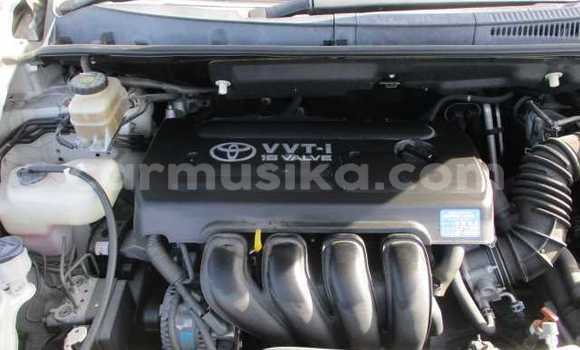 Tenga Tsaru Toyota Wish Chena Mota in Beitbridge in Matabeleland South Tenga Tsaru Toyota Wish Chena Mota in Beitbridge in Matabeleland South