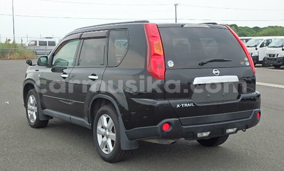 Tenga Tsaru Nissan X–Trail Nhema Mota in Beitbridge in Matabeleland South Tenga Tsaru Nissan X–Trail Nhema Mota in Beitbridge in Matabeleland South