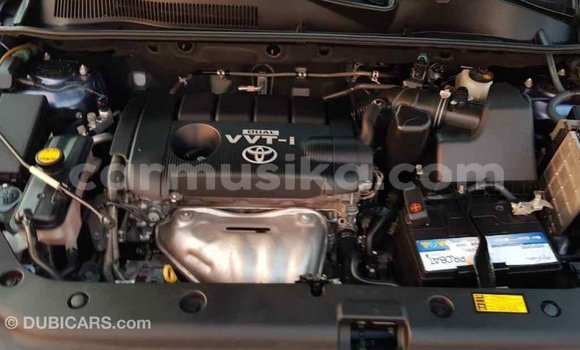 Tenga Imported Toyota HiAce Bhuruu Rori in Import - Dubai in Harare Tenga Imported Toyota HiAce Bhuruu Rori in Import - Dubai in Harare