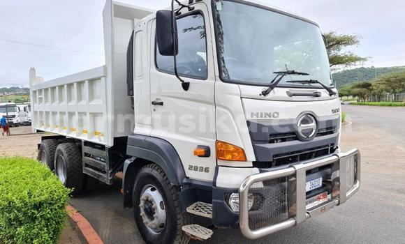 Buy Used Hino 300 White Truck in Beitbridge in Matabeleland South