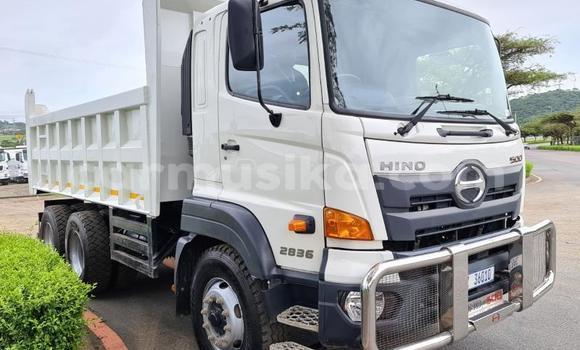 Acheter Occasion Utilitaire Hino 300 Blanc à Beitbridge, Matabeleland South Acheter Occasion Utilitaire Hino 300 Blanc à Beitbridge, Matabeleland South