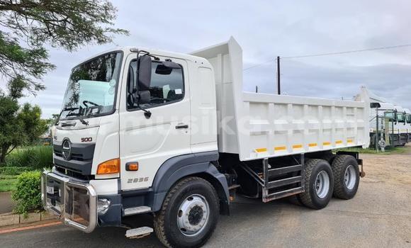 Acheter Occasion Utilitaire Hino 300 Blanc à Beitbridge, Matabeleland South Acheter Occasion Utilitaire Hino 300 Blanc à Beitbridge, Matabeleland South