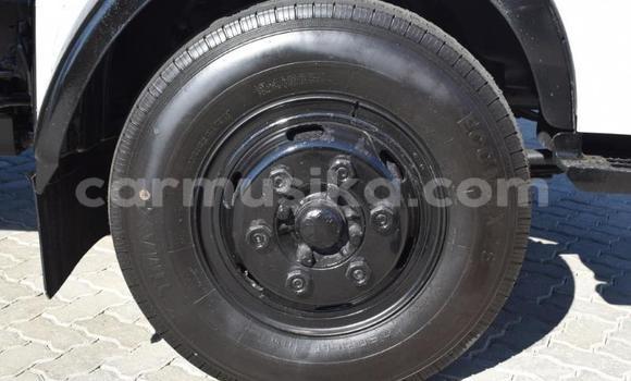 Acheter Occasion Utilitaire DAF CF Blanc à Beitbridge, Matabeleland South Acheter Occasion Utilitaire DAF CF Blanc à Beitbridge, Matabeleland South