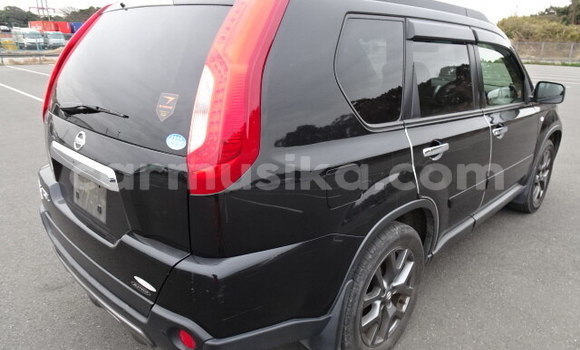 Tenga Tsaru Nissan X–Trail Nhema Mota in Beitbridge in Matabeleland South Tenga Tsaru Nissan X–Trail Nhema Mota in Beitbridge in Matabeleland South