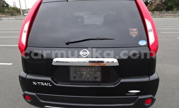 Tenga Tsaru Nissan X–Trail Nhema Mota in Beitbridge in Matabeleland South Tenga Tsaru Nissan X–Trail Nhema Mota in Beitbridge in Matabeleland South