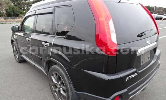 Tenga Tsaru Nissan X–Trail Nhema Mota in Beitbridge in Matabeleland South Tenga Tsaru Nissan X–Trail Nhema Mota in Beitbridge in Matabeleland South