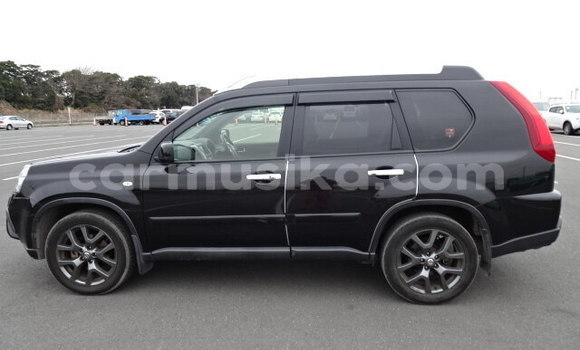 Tenga Tsaru Nissan X–Trail Nhema Mota in Beitbridge in Matabeleland South Tenga Tsaru Nissan X–Trail Nhema Mota in Beitbridge in Matabeleland South