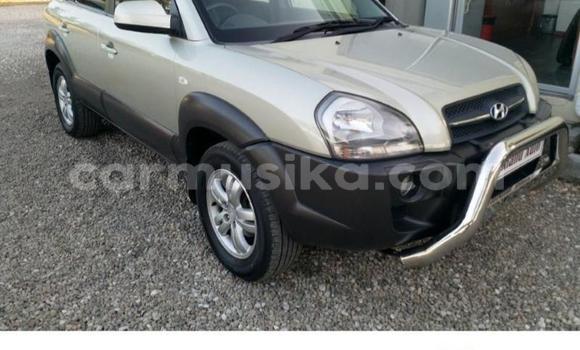 Tenga Tsaru Hyundai Sonata Zvimwe Mota in Beitbridge in Matabeleland South Tenga Tsaru Hyundai Sonata Zvimwe Mota in Beitbridge in Matabeleland South