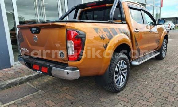 Tenga Tsaru Nissan Navara Zvimwe Mota in Harare in Harare Tenga Tsaru Nissan Navara Zvimwe Mota in Harare in Harare