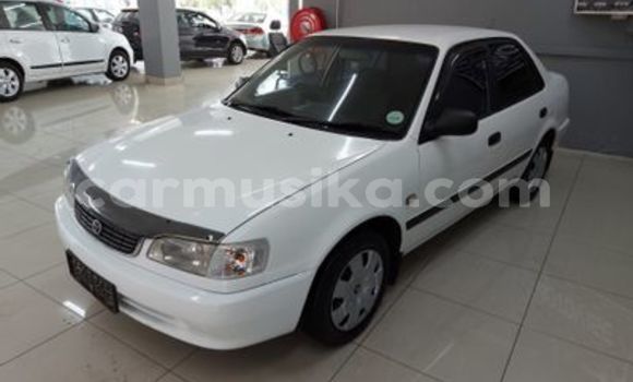 Buy Used Toyota Corolla White Car in Beitbridge in Matabeleland South