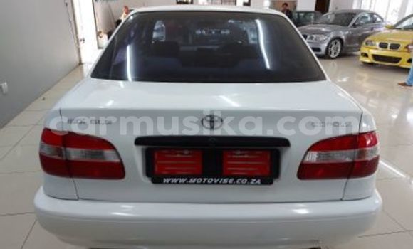 Buy Used Toyota Corolla White Car in Beitbridge in Matabeleland South Buy Used Toyota Corolla White Car in Beitbridge in Matabeleland South