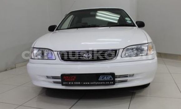 Tenga Tsaru Toyota Corolla Chena Mota in Beitbridge in Matabeleland South