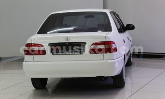 Buy Used Toyota Corolla White Car in Beitbridge in Matabeleland South Buy Used Toyota Corolla White Car in Beitbridge in Matabeleland South