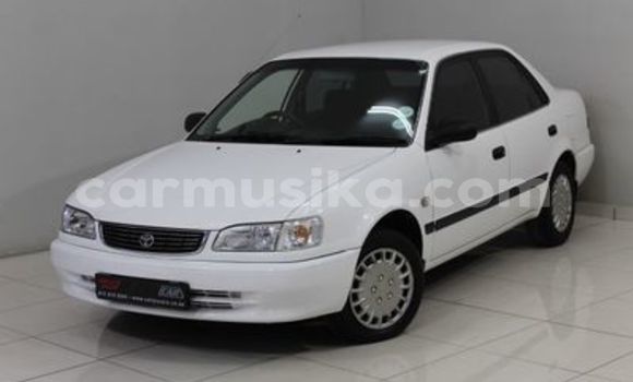 Buy Used Toyota Corolla White Car in Beitbridge in Matabeleland South Buy Used Toyota Corolla White Car in Beitbridge in Matabeleland South