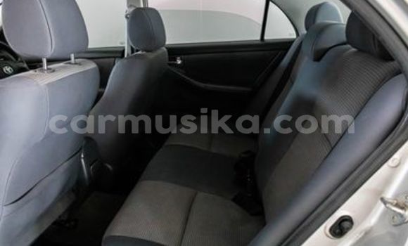 Buy Used Toyota Corolla White Car in Beitbridge in Matabeleland South Buy Used Toyota Corolla White Car in Beitbridge in Matabeleland South