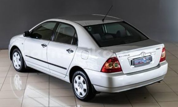 Buy Used Toyota Corolla White Car in Beitbridge in Matabeleland South Buy Used Toyota Corolla White Car in Beitbridge in Matabeleland South