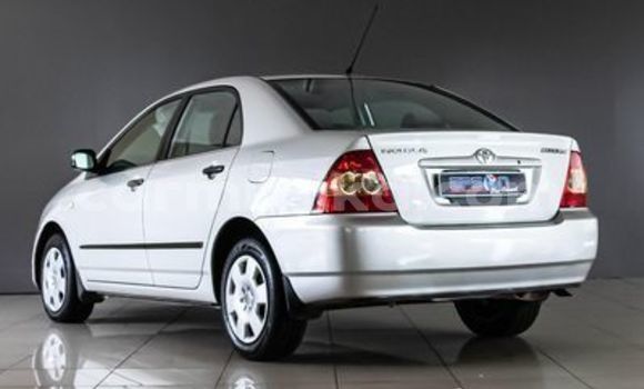 Buy Used Toyota Corolla White Car in Beitbridge in Matabeleland South Buy Used Toyota Corolla White Car in Beitbridge in Matabeleland South