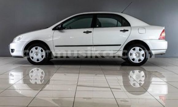 Buy Used Toyota Corolla White Car in Beitbridge in Matabeleland South Buy Used Toyota Corolla White Car in Beitbridge in Matabeleland South