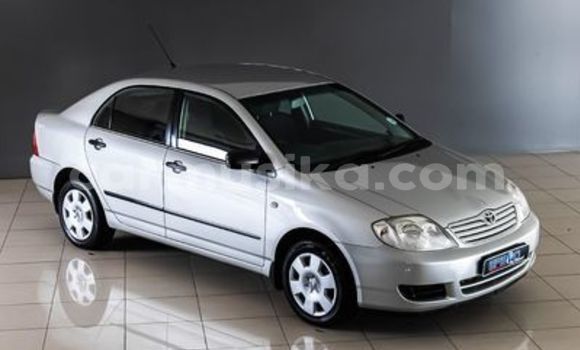 Buy Used Toyota Corolla White Car in Beitbridge in Matabeleland South Buy Used Toyota Corolla White Car in Beitbridge in Matabeleland South