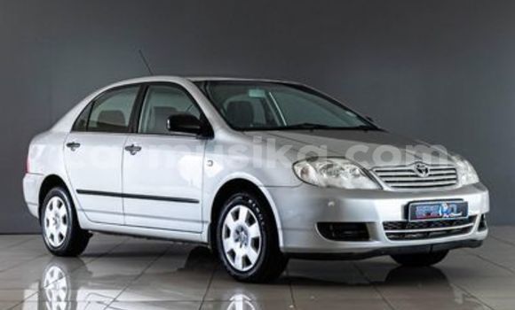 Buy Used Toyota Corolla White Car in Beitbridge in Matabeleland South Buy Used Toyota Corolla White Car in Beitbridge in Matabeleland South