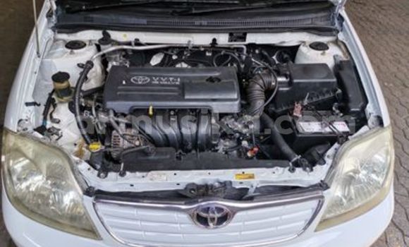 Acheter Occasion Voiture Toyota Corolla Blanc à Beitbridge, Matabeleland South Acheter Occasion Voiture Toyota Corolla Blanc à Beitbridge, Matabeleland South