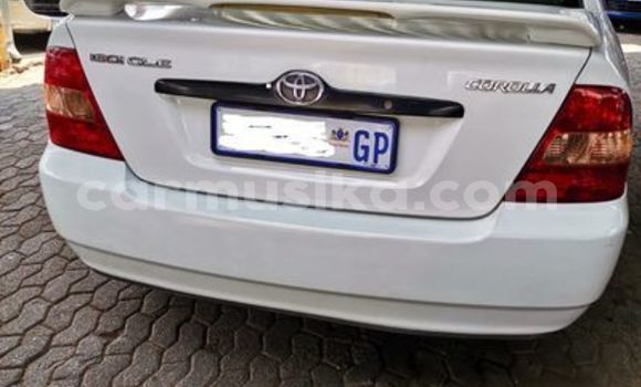 Acheter Occasion Voiture Toyota Corolla Blanc à Beitbridge, Matabeleland South Acheter Occasion Voiture Toyota Corolla Blanc à Beitbridge, Matabeleland South
