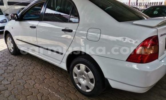 Acheter Occasion Voiture Toyota Corolla Blanc à Beitbridge, Matabeleland South Acheter Occasion Voiture Toyota Corolla Blanc à Beitbridge, Matabeleland South