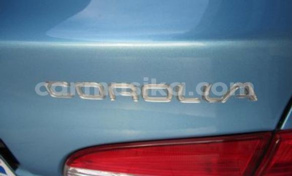 Buy Used Toyota Corolla Blue Car in Beitbridge in Matabeleland South Buy Used Toyota Corolla Blue Car in Beitbridge in Matabeleland South