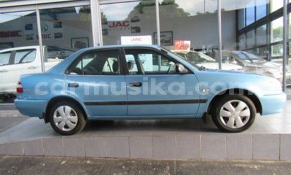 Buy Used Toyota Corolla Blue Car in Beitbridge in Matabeleland South Buy Used Toyota Corolla Blue Car in Beitbridge in Matabeleland South