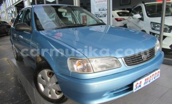 Buy Used Toyota Corolla Blue Car in Beitbridge in Matabeleland South Buy Used Toyota Corolla Blue Car in Beitbridge in Matabeleland South