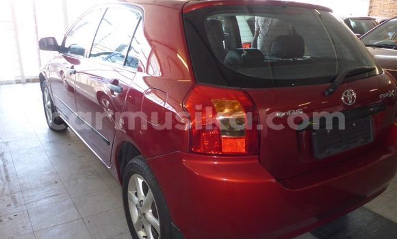 Nunua Ilio tumika Toyota Runx Nyekundu Gari ndani ya Beitbridge nchini Matabeleland Kusini Nunua Ilio tumika Toyota Runx Nyekundu Gari ndani ya Beitbridge nchini Matabeleland Kusini