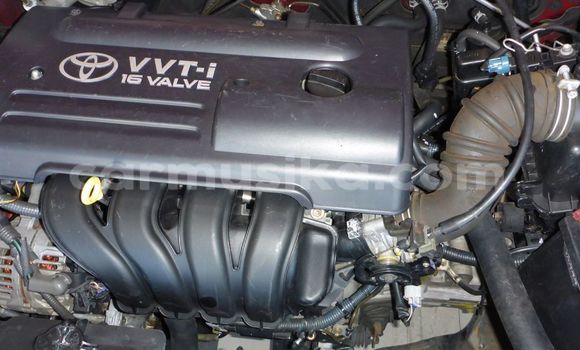 Nunua Ilio tumika Toyota Runx Nyekundu Gari ndani ya Beitbridge nchini Matabeleland Kusini Nunua Ilio tumika Toyota Runx Nyekundu Gari ndani ya Beitbridge nchini Matabeleland Kusini