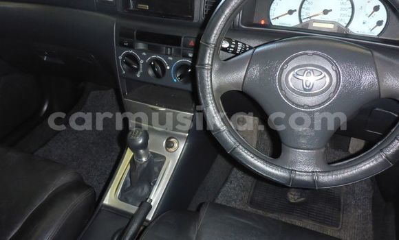 Nunua Ilio tumika Toyota Runx Nyekundu Gari ndani ya Beitbridge nchini Matabeleland Kusini Nunua Ilio tumika Toyota Runx Nyekundu Gari ndani ya Beitbridge nchini Matabeleland Kusini