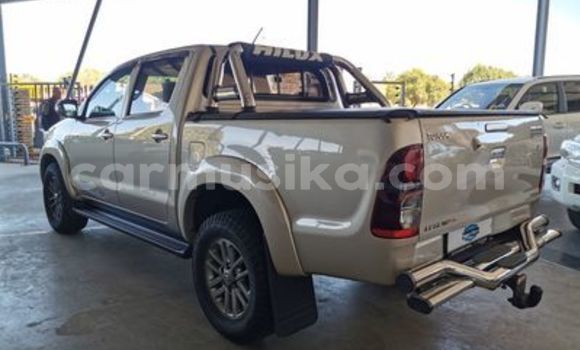 Tenga Tsaru Toyota Hilux Sirivha Mota in Beitbridge in Matabeleland South Tenga Tsaru Toyota Hilux Sirivha Mota in Beitbridge in Matabeleland South