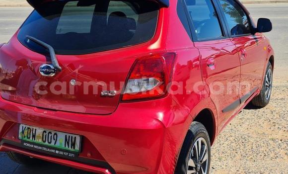 Acheter Occasion Voiture Datsun Sunny Rouge à Beitbridge, Matabeleland South