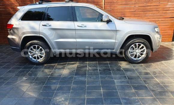 Acheter Occasion Voiture Jeep Grand Cherokee Gris à Beitbridge, Matabeleland South Acheter Occasion Voiture Jeep Grand Cherokee Gris à Beitbridge, Matabeleland South