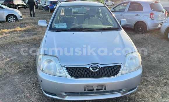 Buy Used Toyota Runx Silver Car in Beitbridge in Matabeleland South